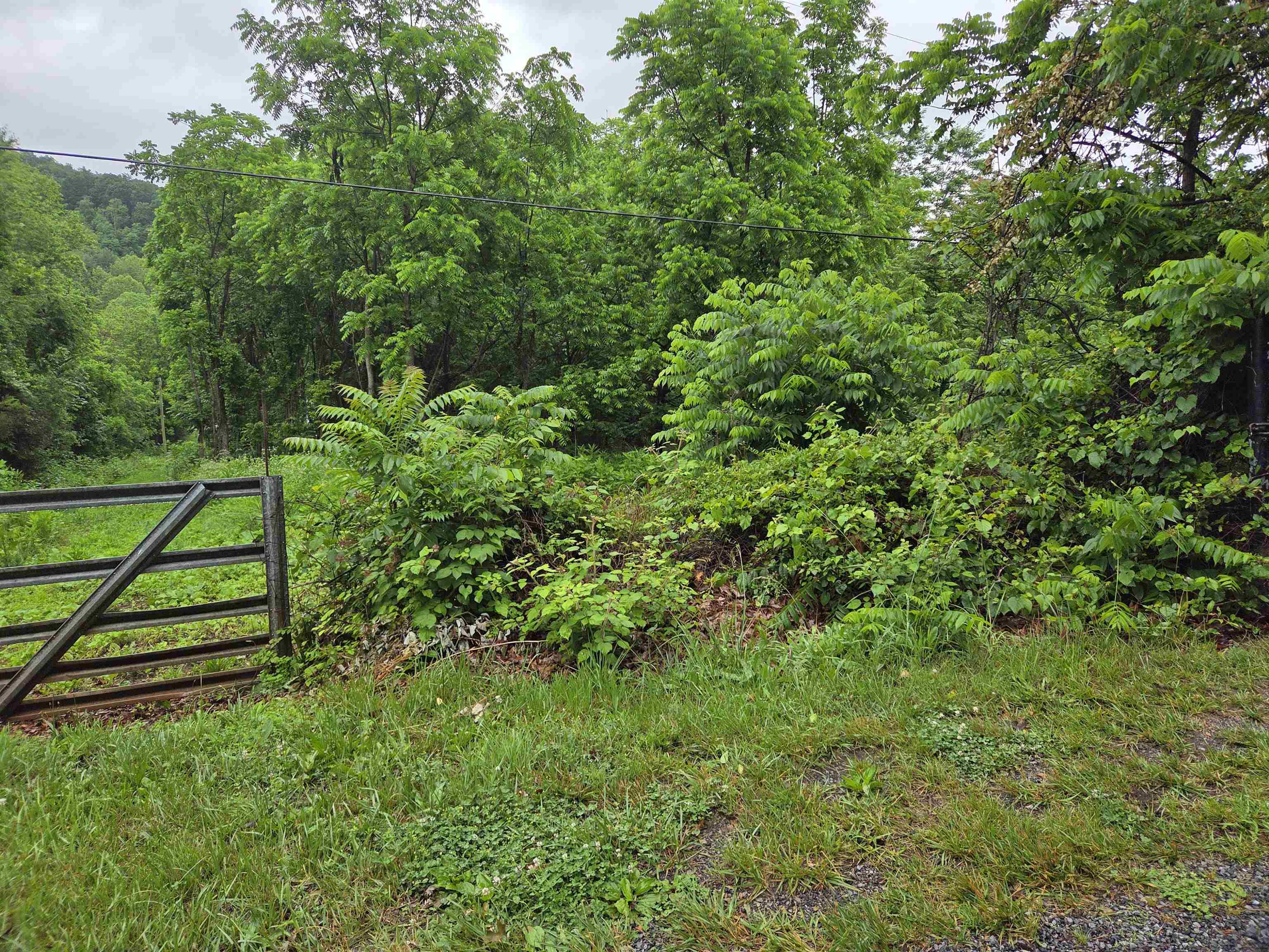 900 Sandy Bottom Road Elkton, VA 22827 - Photo 5 of 5