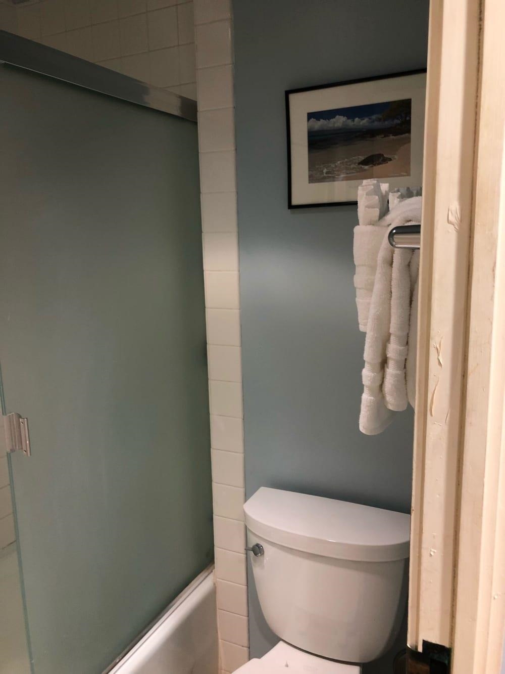 3875 Lower Honoapiilani Road, Unit A105 Lahaina, HI 96761 - Photo 15 of 27 a white toilet sitting next to a shower