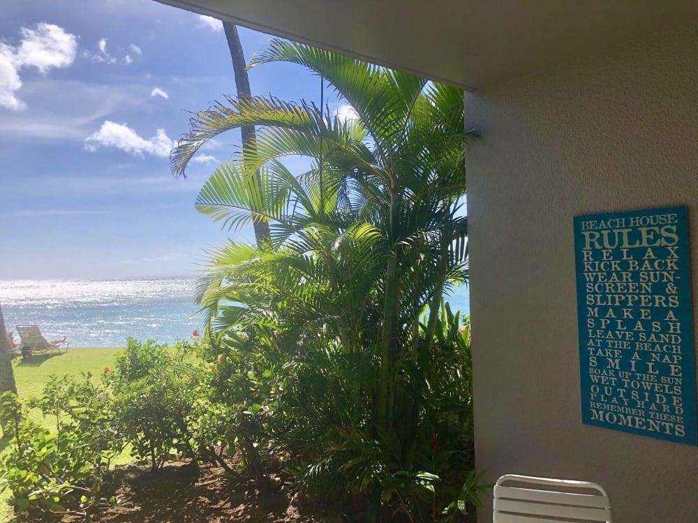 3875 Lower Honoapiilani Road, Unit A105 Lahaina, HI 96761 - Photo 20 of 27 a close up of a flower in a garden