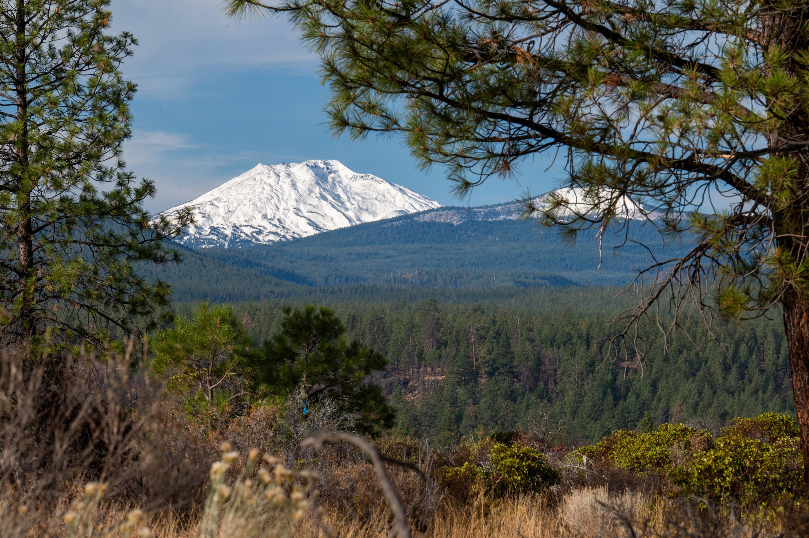 62495 Huntsman Loop Bend, OR 97703 - Photo 1 of 32 07