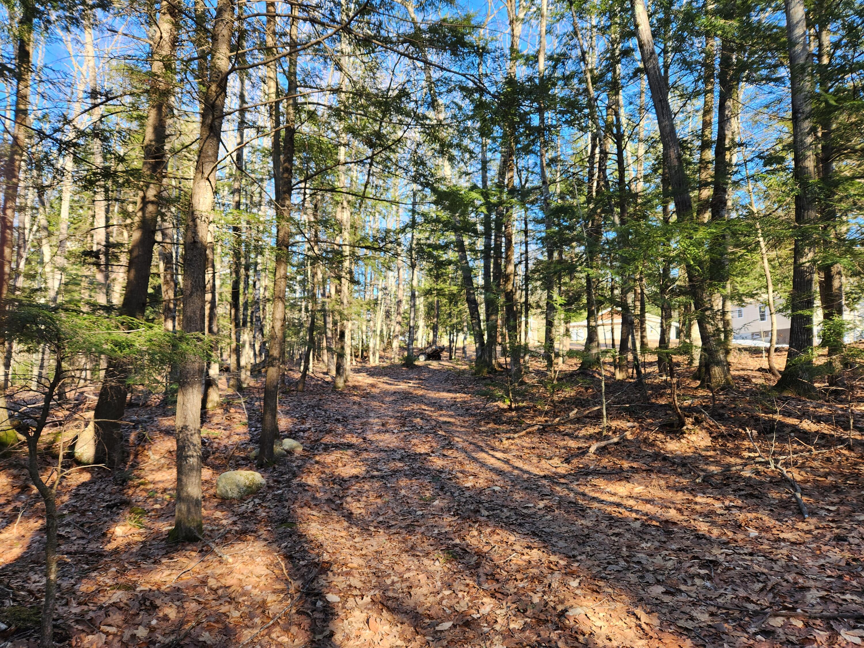 55 A A To Z Road Greene, ME 04236 - Photo 52 of 54 20240308_152502