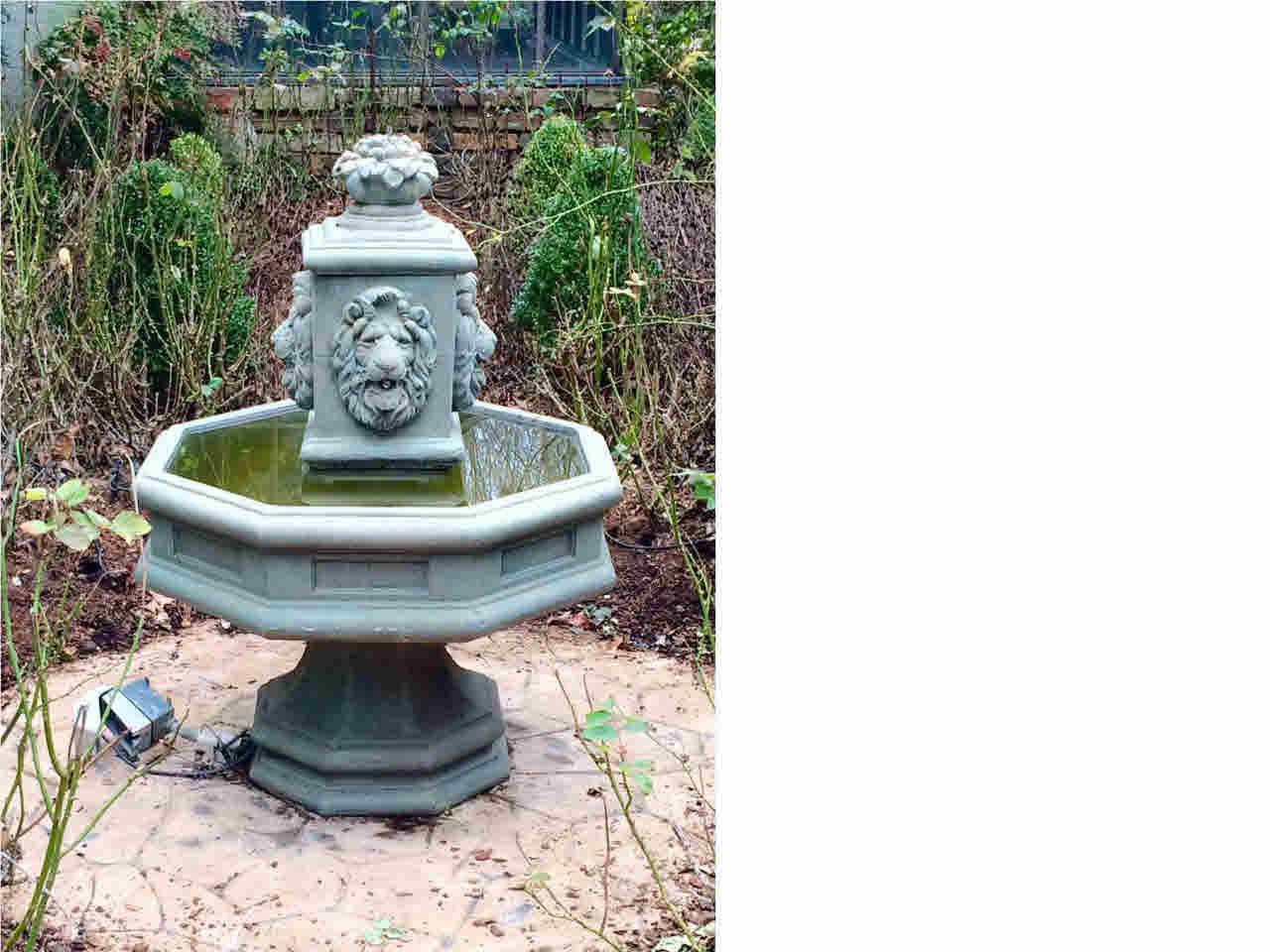 201 Devander Run Ridgeland, MS 39157 - Photo 46 of 47 Fountain in rose garden