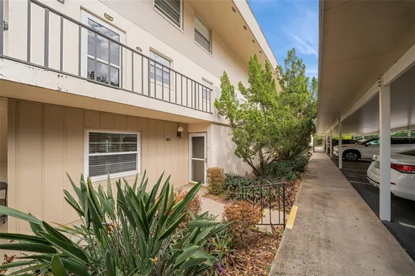 a potted plant in front of a building