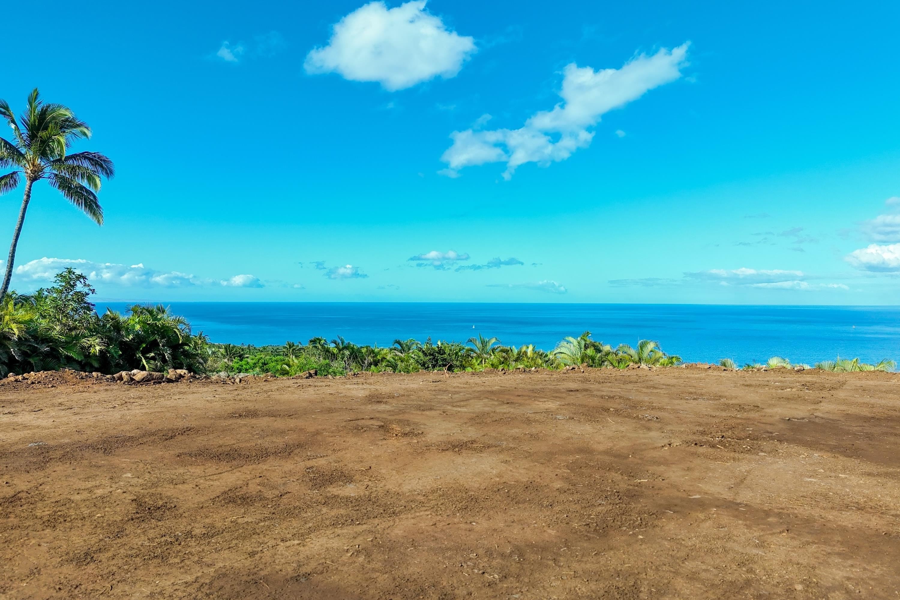 91 Kumu Niu Place, Unit A Lahaina, HI 96761 - Photo 43 of 48 a view of a beach with a palm tree