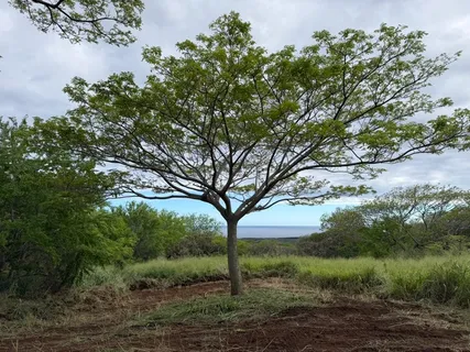 $450,000 | 4 Punaluu Road, Naalehu, HI 96772