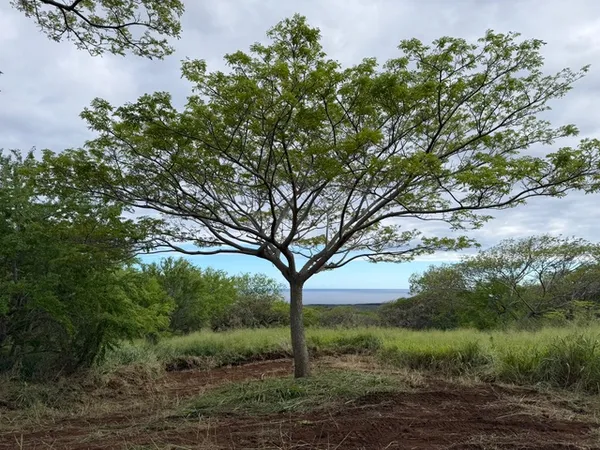 $429,000 | 4 Punaluu Road, Naalehu, HI 96772
