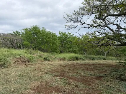 $429,000 | 4 Punaluu Road, Naalehu, HI 96772