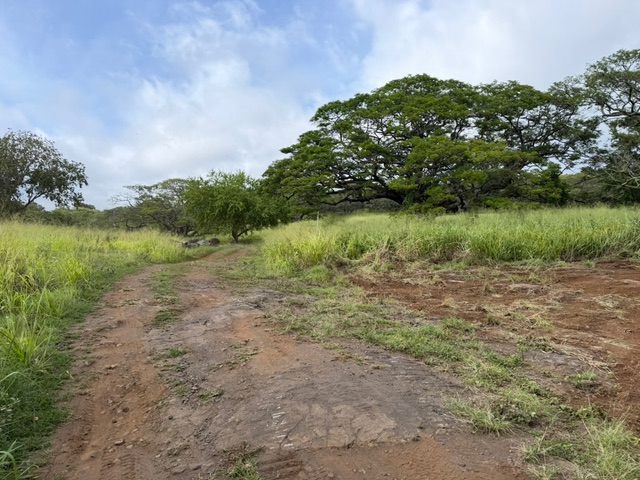 4 Punaluu Road Naalehu, HI 96772 - Photo 13 of 13 a view of a lake with houses in the back