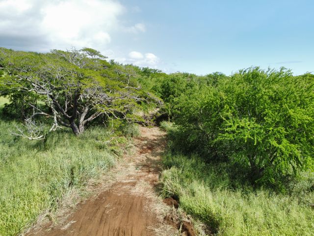 $450,000 | 4 Punaluu Road, Naalehu, HI 96772