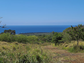 4 Punaluu Road Naalehu, HI 96772 - Photo 2 of 2 a view of a field of grass and trees