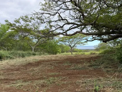 $429,000 | 4 Punaluu Road, Naalehu, HI 96772