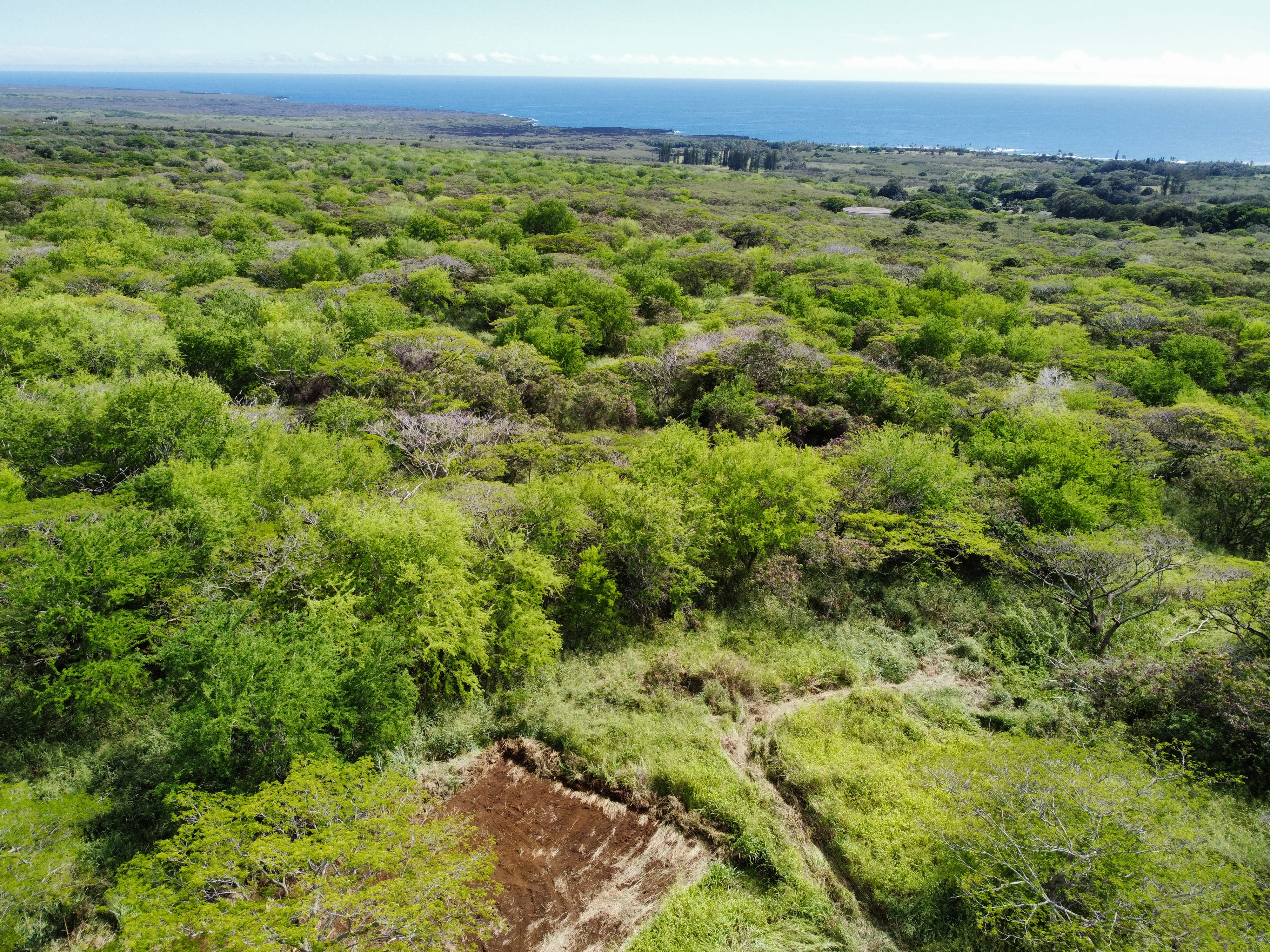 4 Punaluu Road Naalehu, HI 96772 - Photo 21 of 30