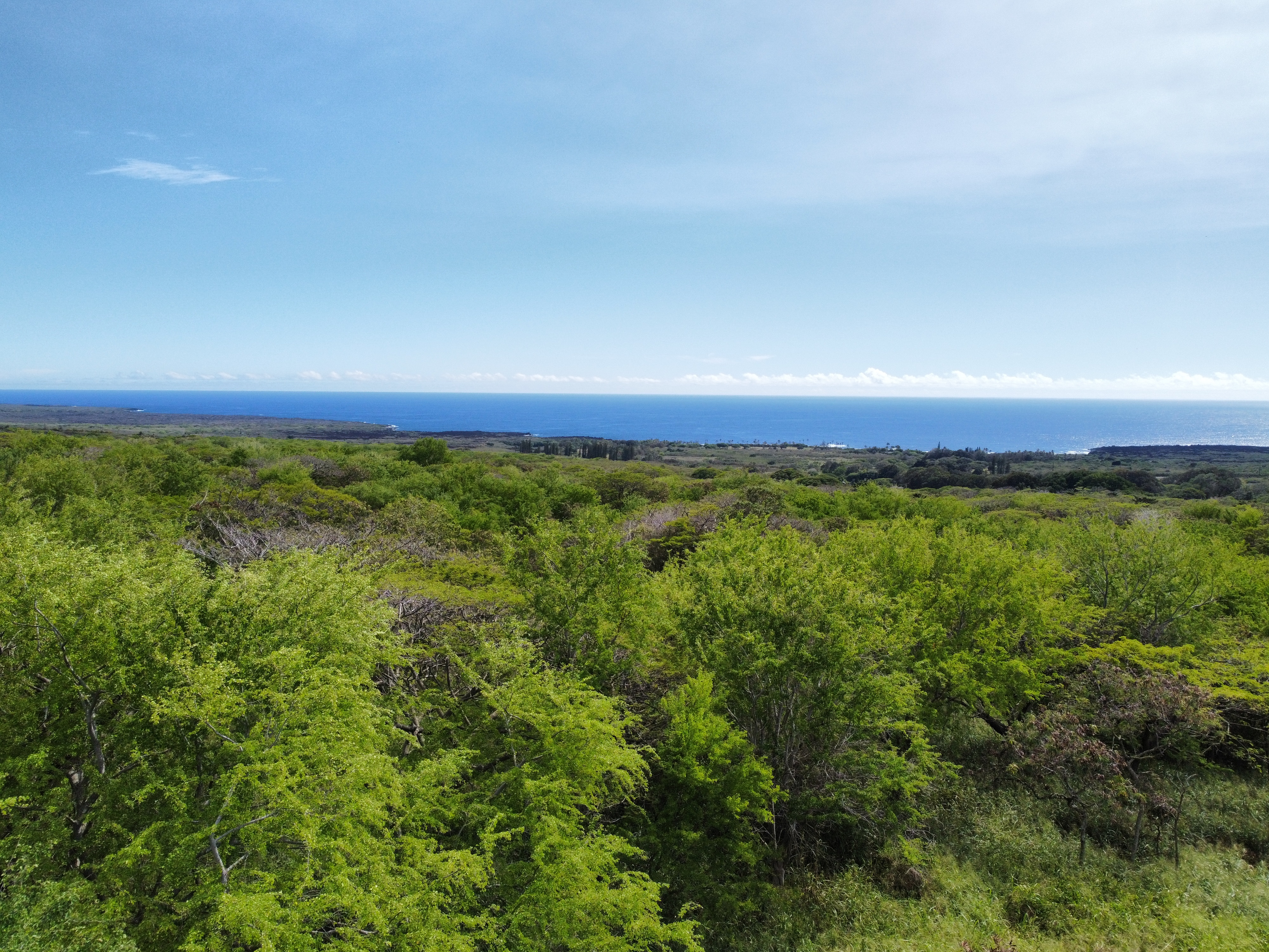 4 Punaluu Road Naalehu, HI 96772 - Photo 24 of 30