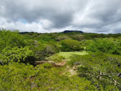 $429,000 | 4 Punaluu Road, Naalehu, HI 96772