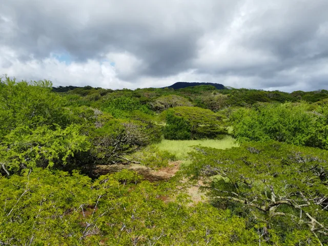 $429,000 | 4 Punaluu Road, Naalehu, HI 96772
