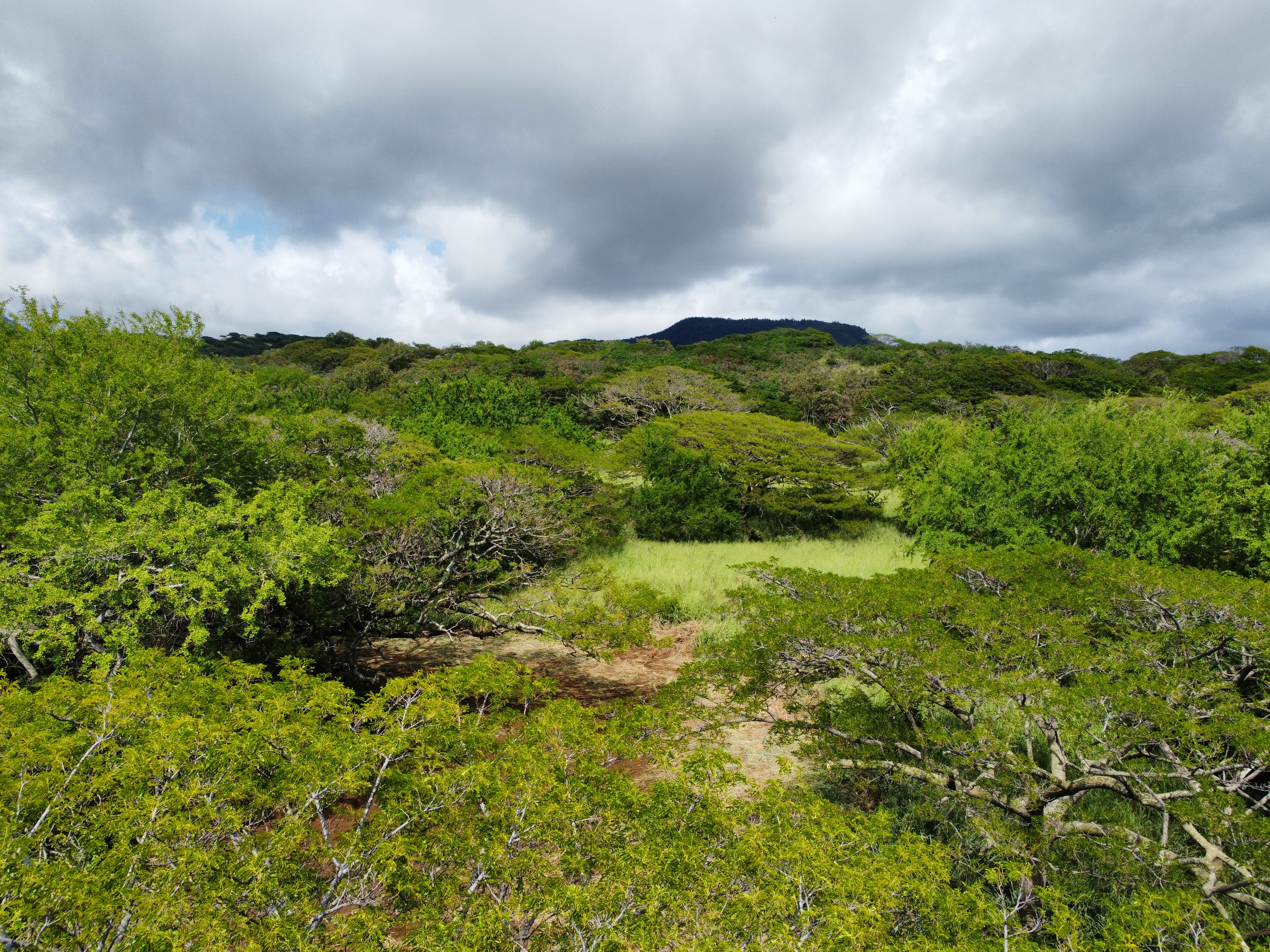 4 Punaluu Road Naalehu, HI 96772 - Photo 26 of 30