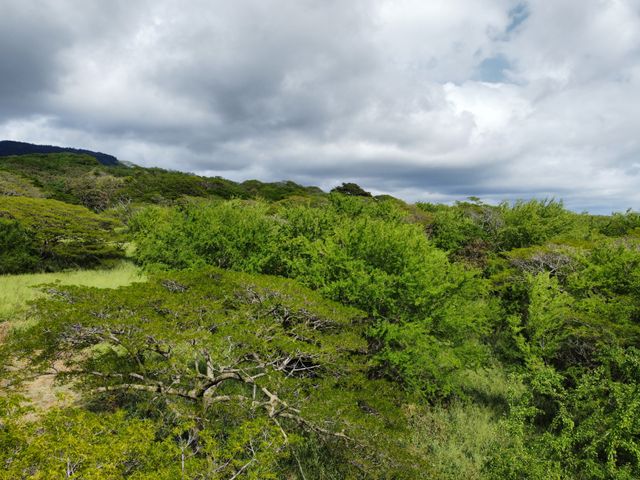 $450,000 | 4 Punaluu Road, Naalehu, HI 96772