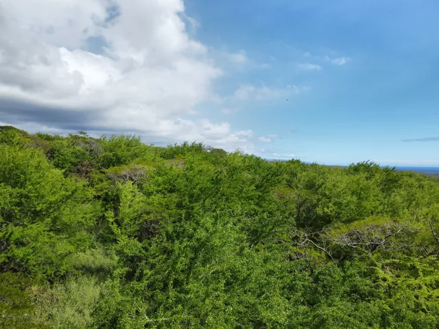 $429,000 | 4 Punaluu Road, Naalehu, HI 96772