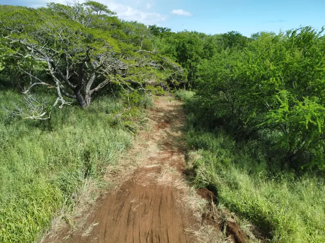 $429,000 | 4 Punaluu Road, Naalehu, HI 96772