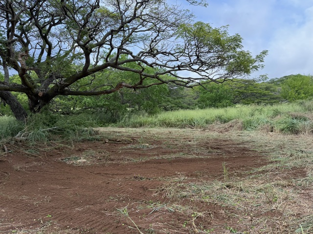 4 Punaluu Road Naalehu, HI 96772 - Photo 6 of 13 a view of a yard