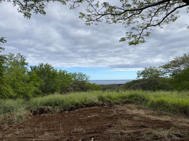 4 Punaluu Road Naalehu, HI 96772 - Photo 9 of 13 a view of a yard with a tree