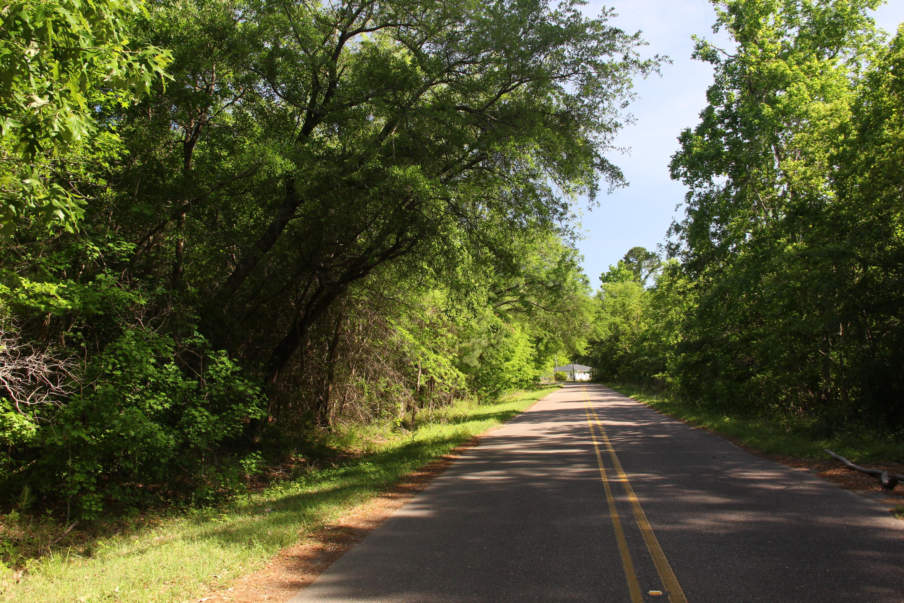 1789 Highway 41 Mount Pleasant, SC 29466 - Photo 4 of 4