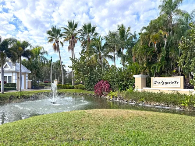 a view of a park with palm trees
