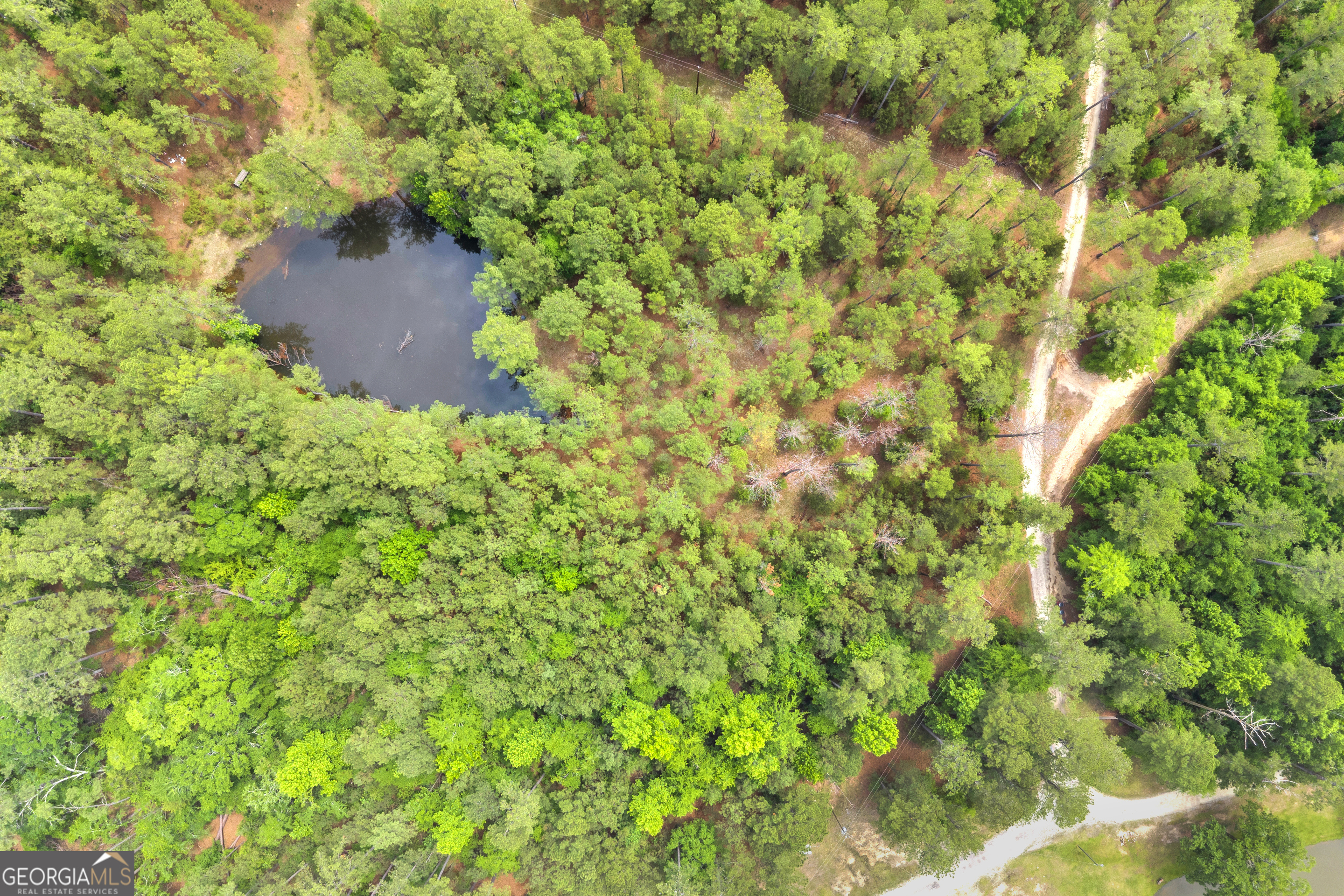 0 Clary Road Lincolnton, GA 30817 - Photo 13 of 16