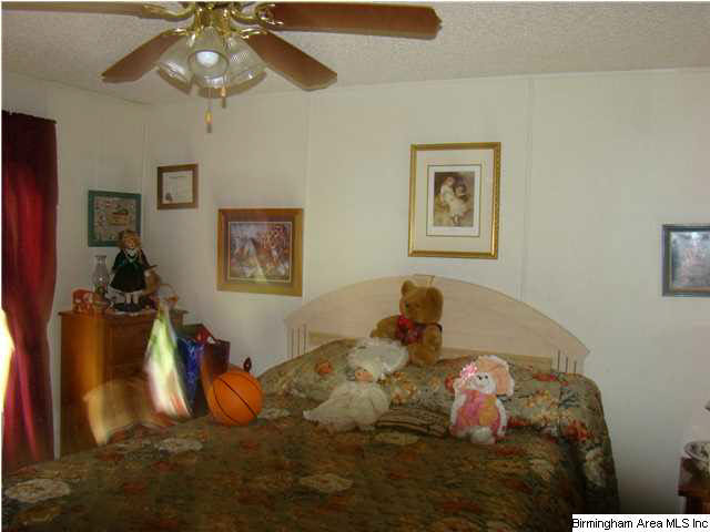 121 Fox Rdg Court Weogufka, AL 35183 - Photo 4 of 20