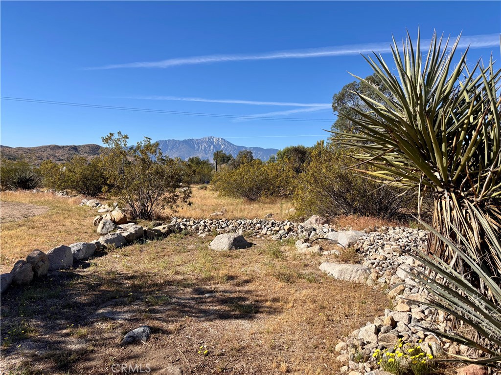 50922 Canyon Road Morongo Valley, CA 92256 - Photo 49 of 62