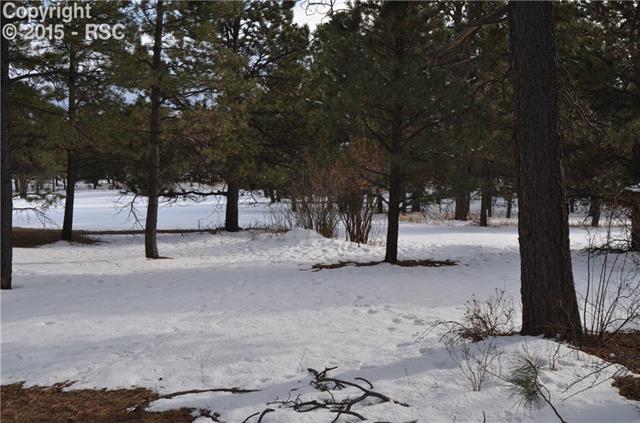 17250 East Goshawk Road Colorado Springs, CO 80908 - Photo 9 of 11 Gallery Image 9