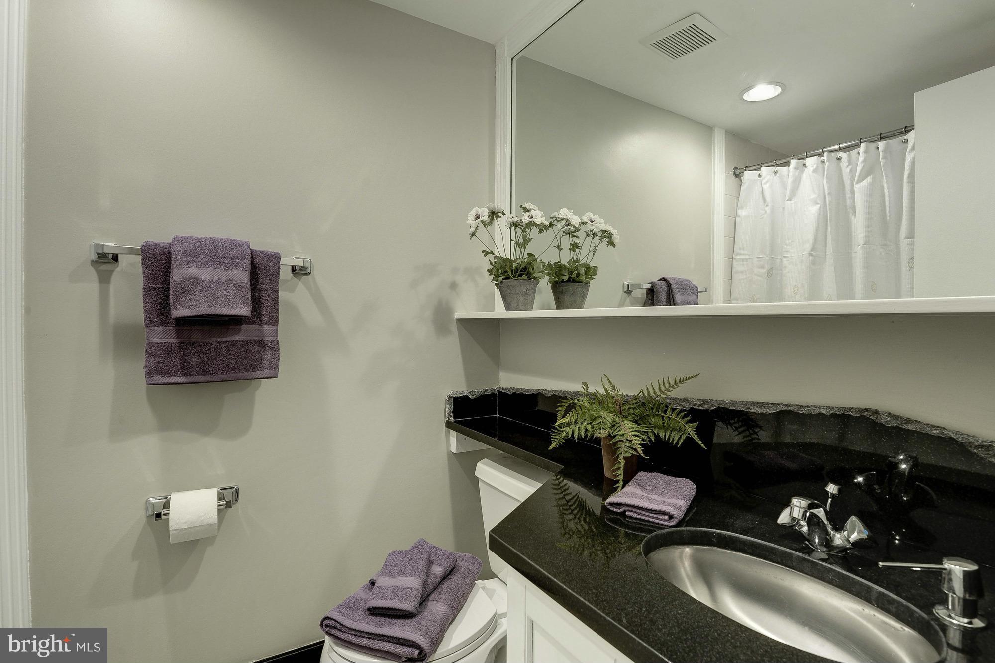 11649 Stoneview Square, Unit 22C Reston, VA 20191 - Photo 21 of 30 Hallway Bath