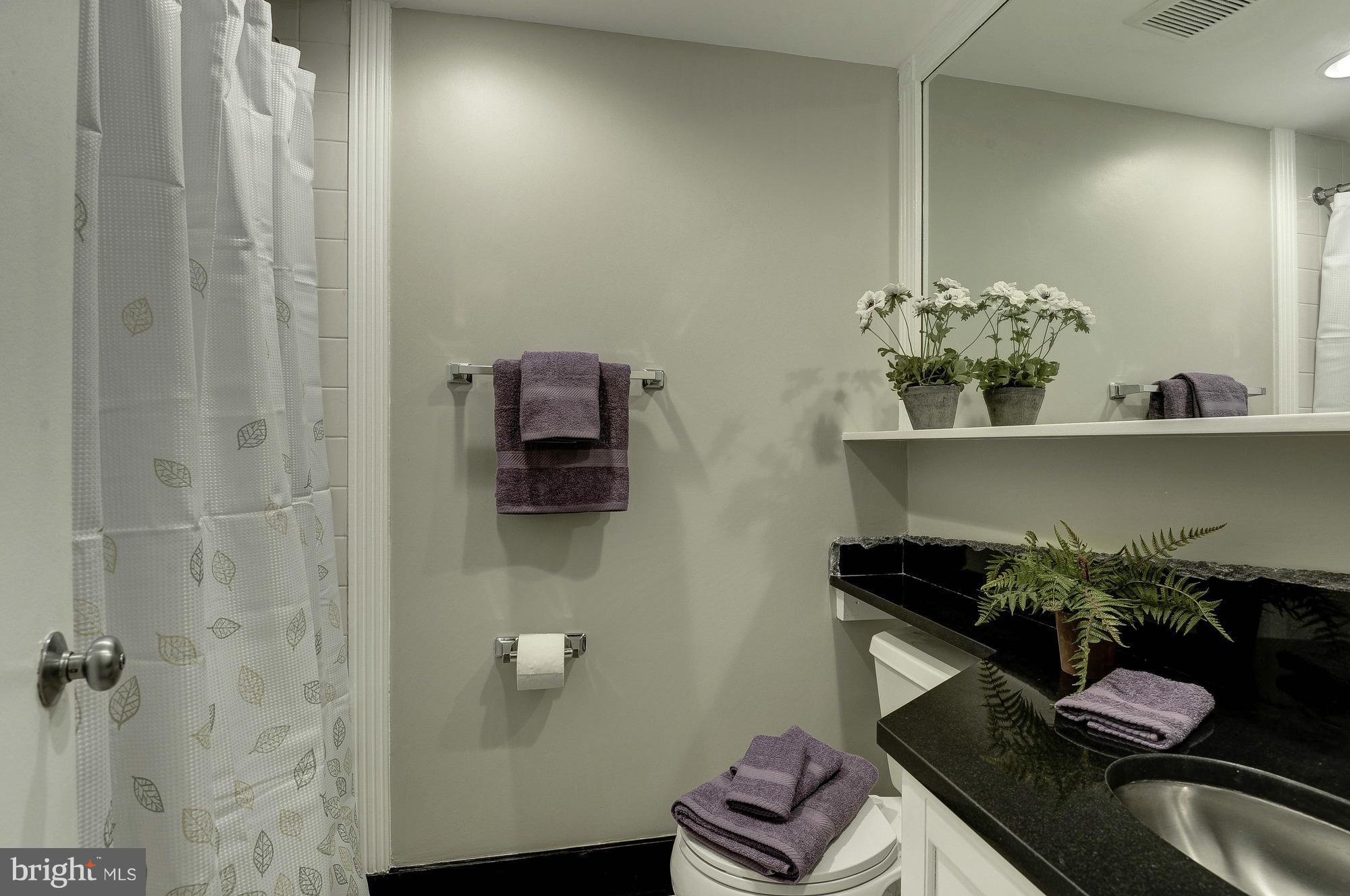 11649 Stoneview Square, Unit 22C Reston, VA 20191 - Photo 22 of 30 Second Bath with Granite and Bathtub