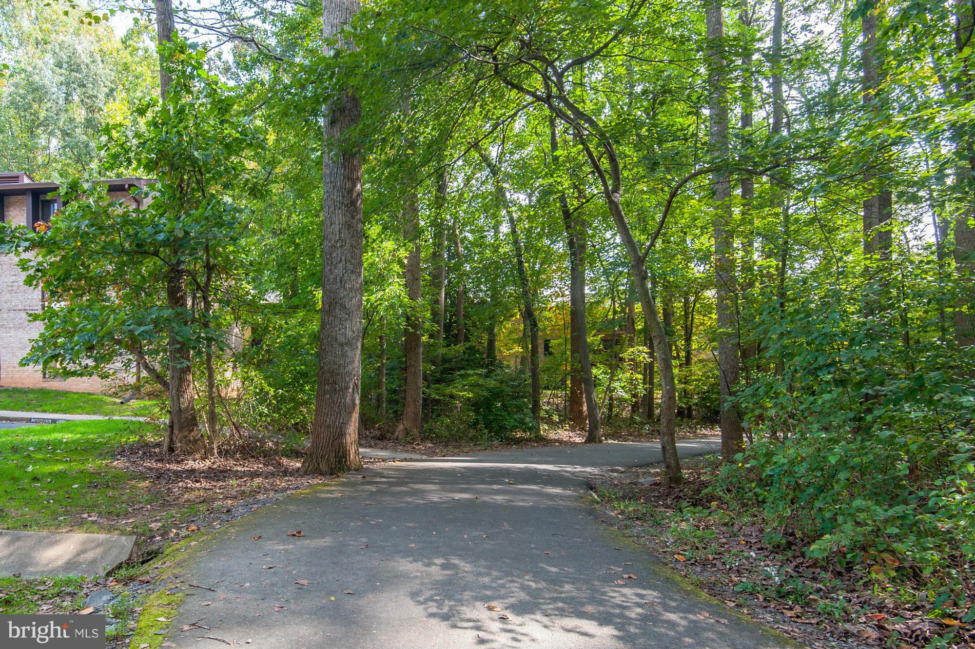 11649 Stoneview Square, Unit 22C Reston, VA 20191 - Photo 26 of 30 Lots of trees and walking paths