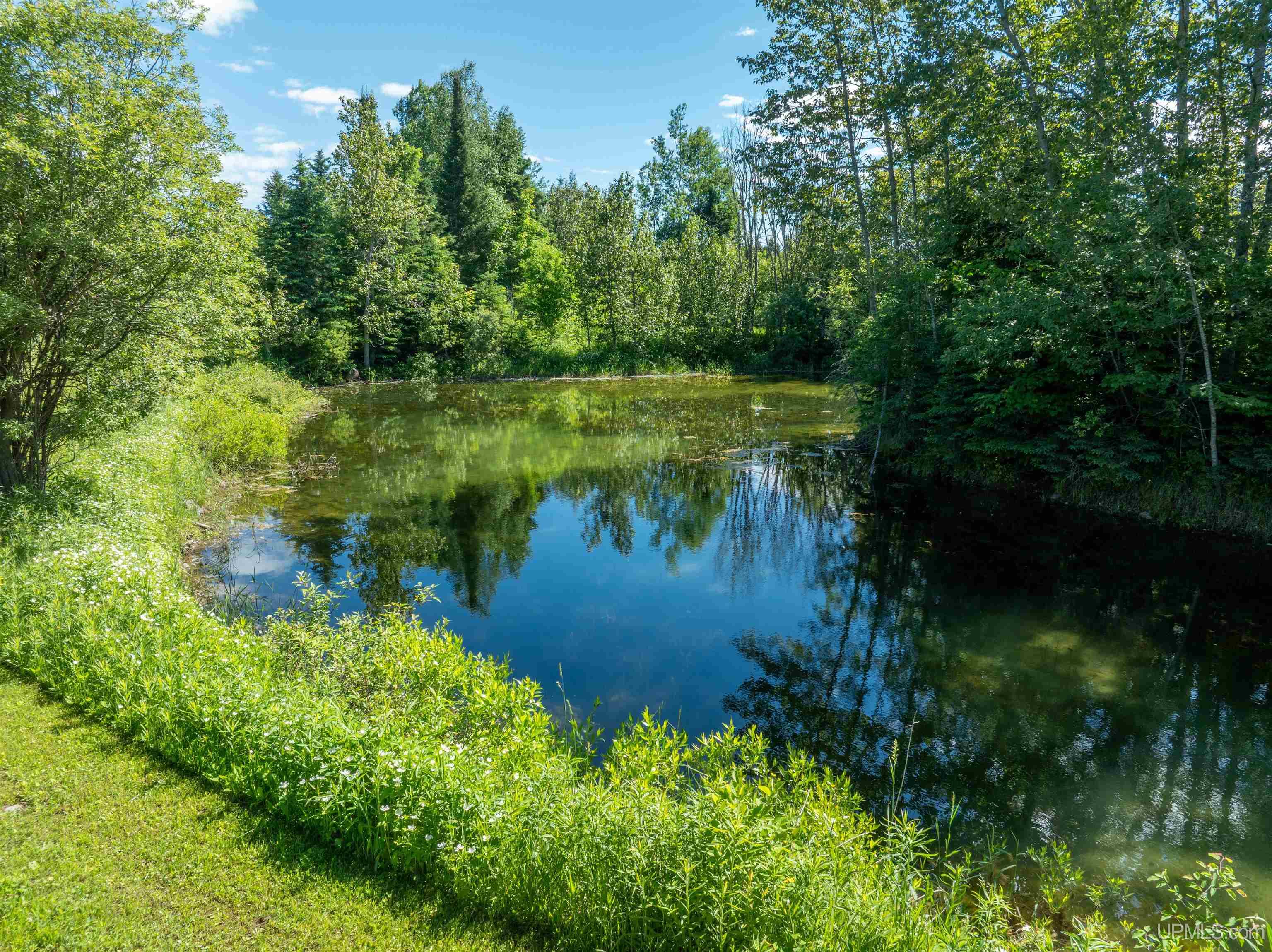 N6427 County Rd H15 Shingleton, MI 49884 - Photo 48 of 58