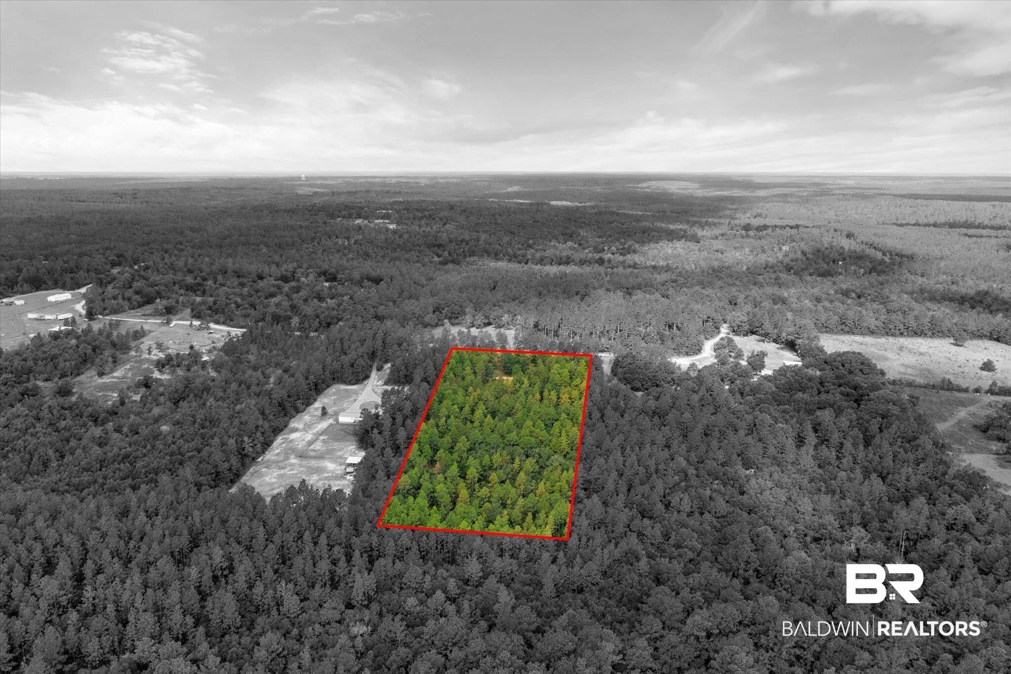 0 East Chunchula Highlands Road Chunchula, AL 36521 - Photo 10 of 18