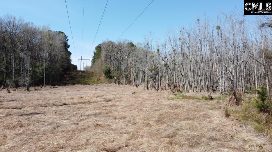 1672 Dixired Road Leesville, SC 29070 - Photo 64 of 67