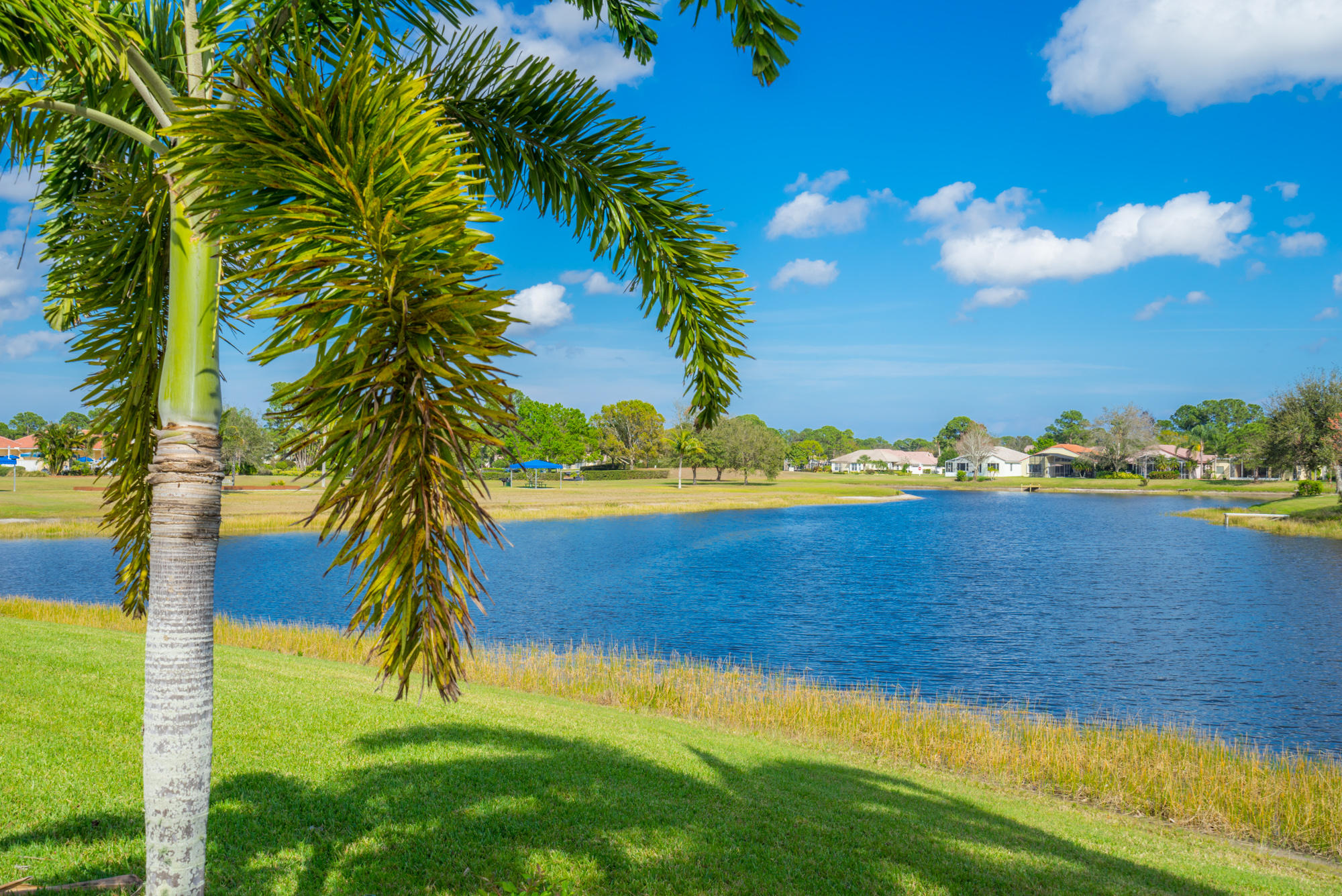 567 Southwest Spring Hill Point Port St. Lucie, FL 34986 - Photo 2 of 36 a view of an ocean from a yard