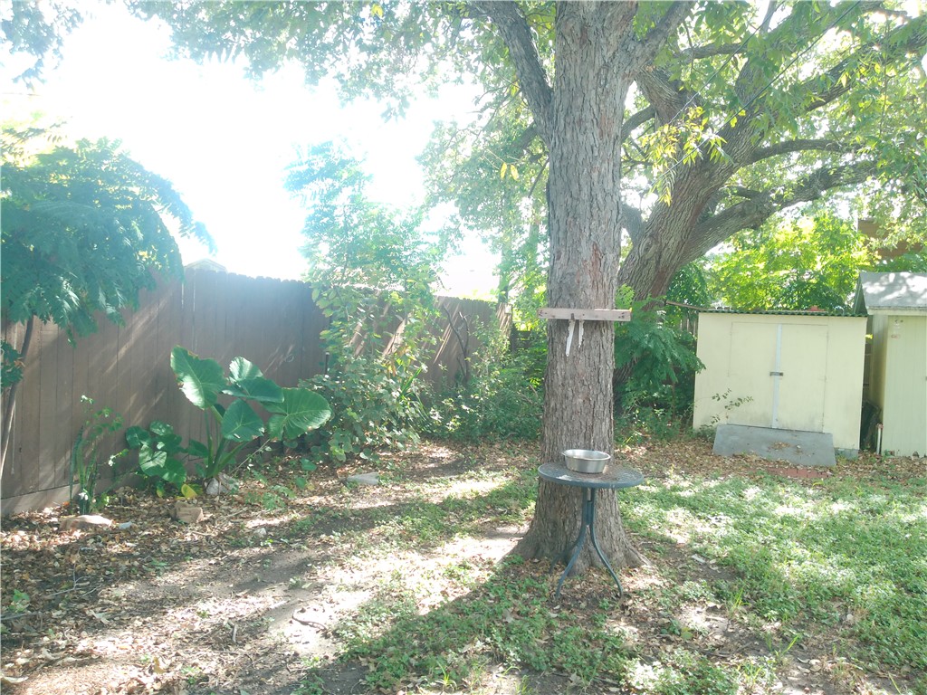 4322 Fir Street Corpus Christi, TX 78411 - Photo 14 of 17 a view of a yard with plants and large trees