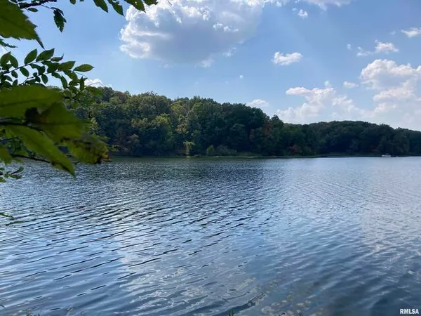a view of a lake with a tree