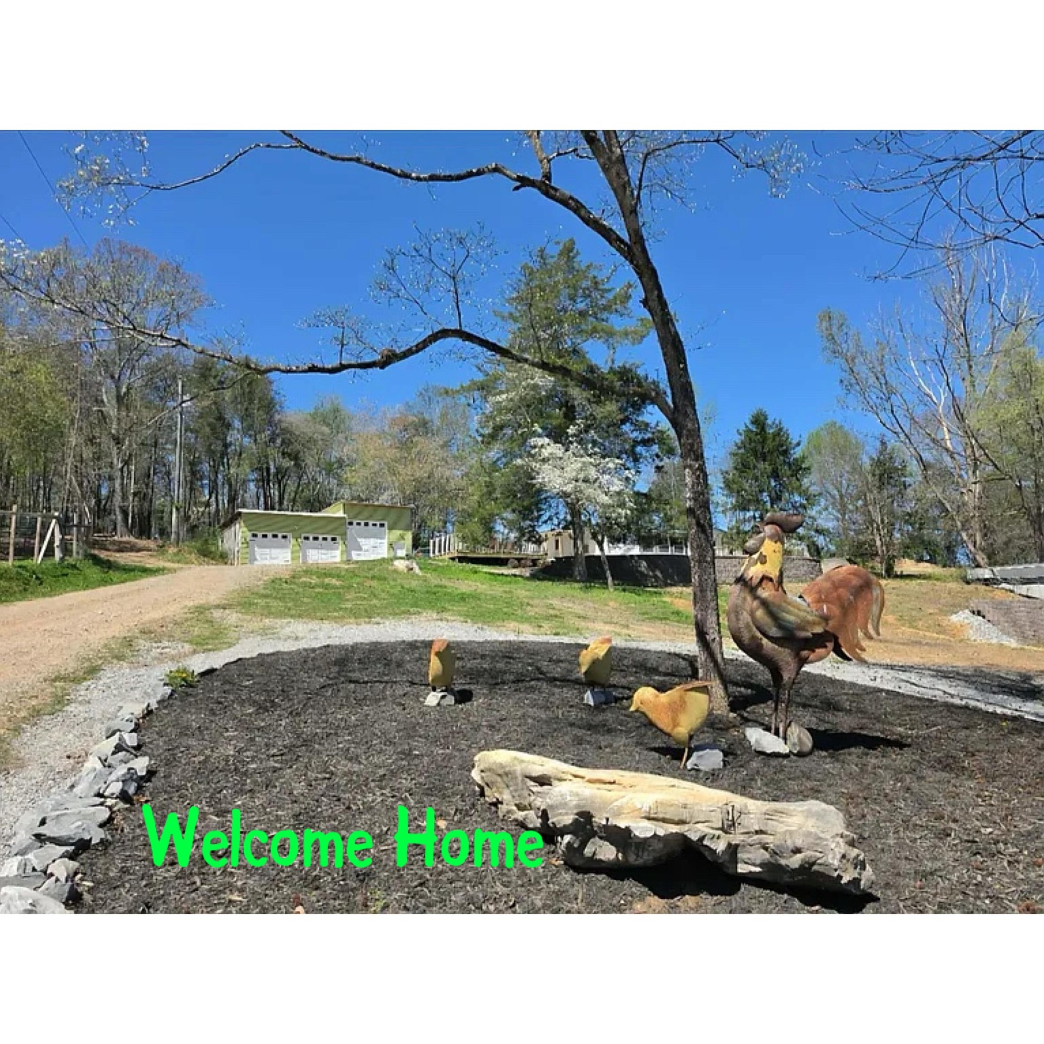 196 Southside Road Sweetwater, TN 37874 - Photo 1 of 49