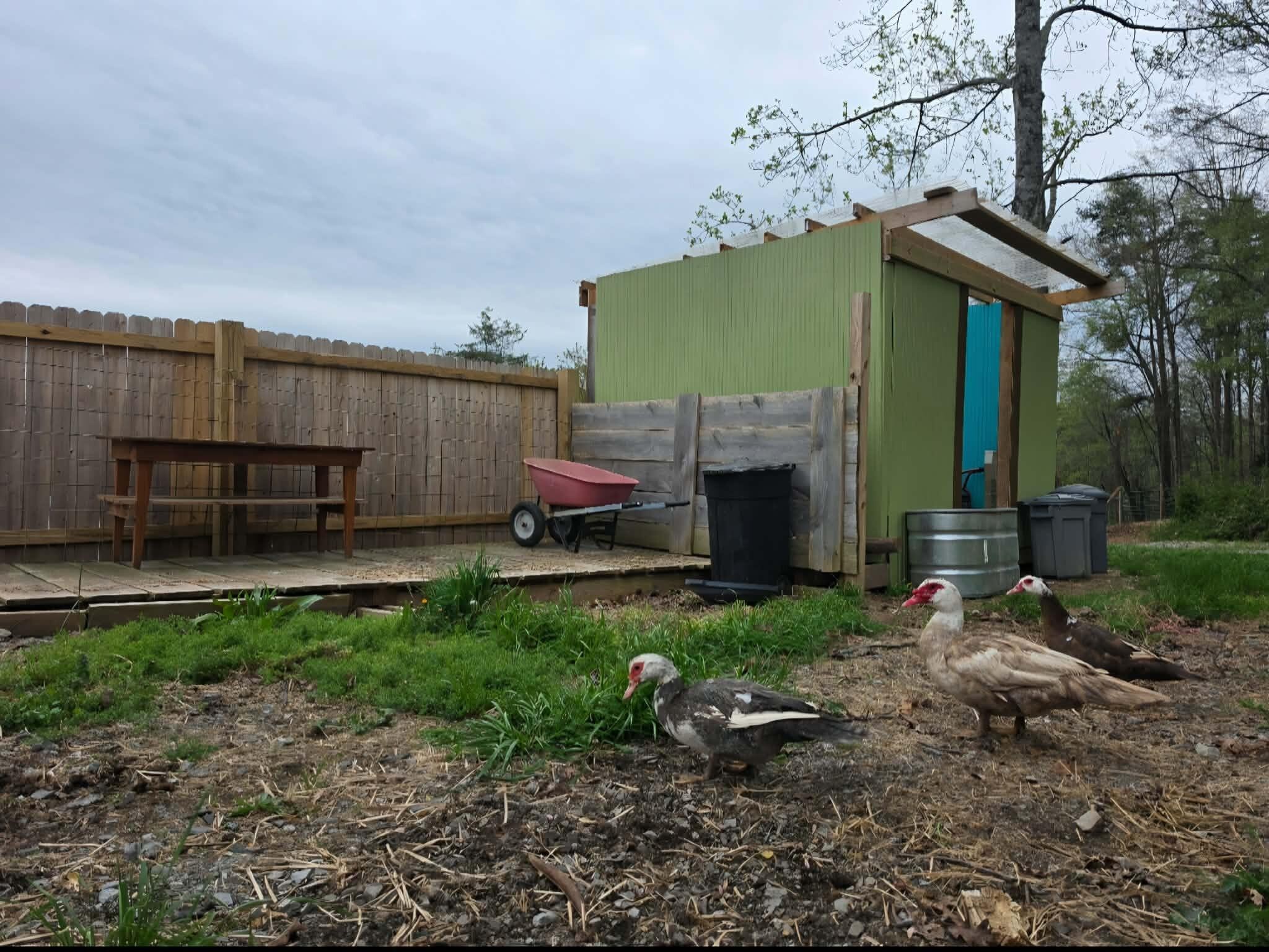 196 Southside Road Sweetwater, TN 37874 - Photo 39 of 49