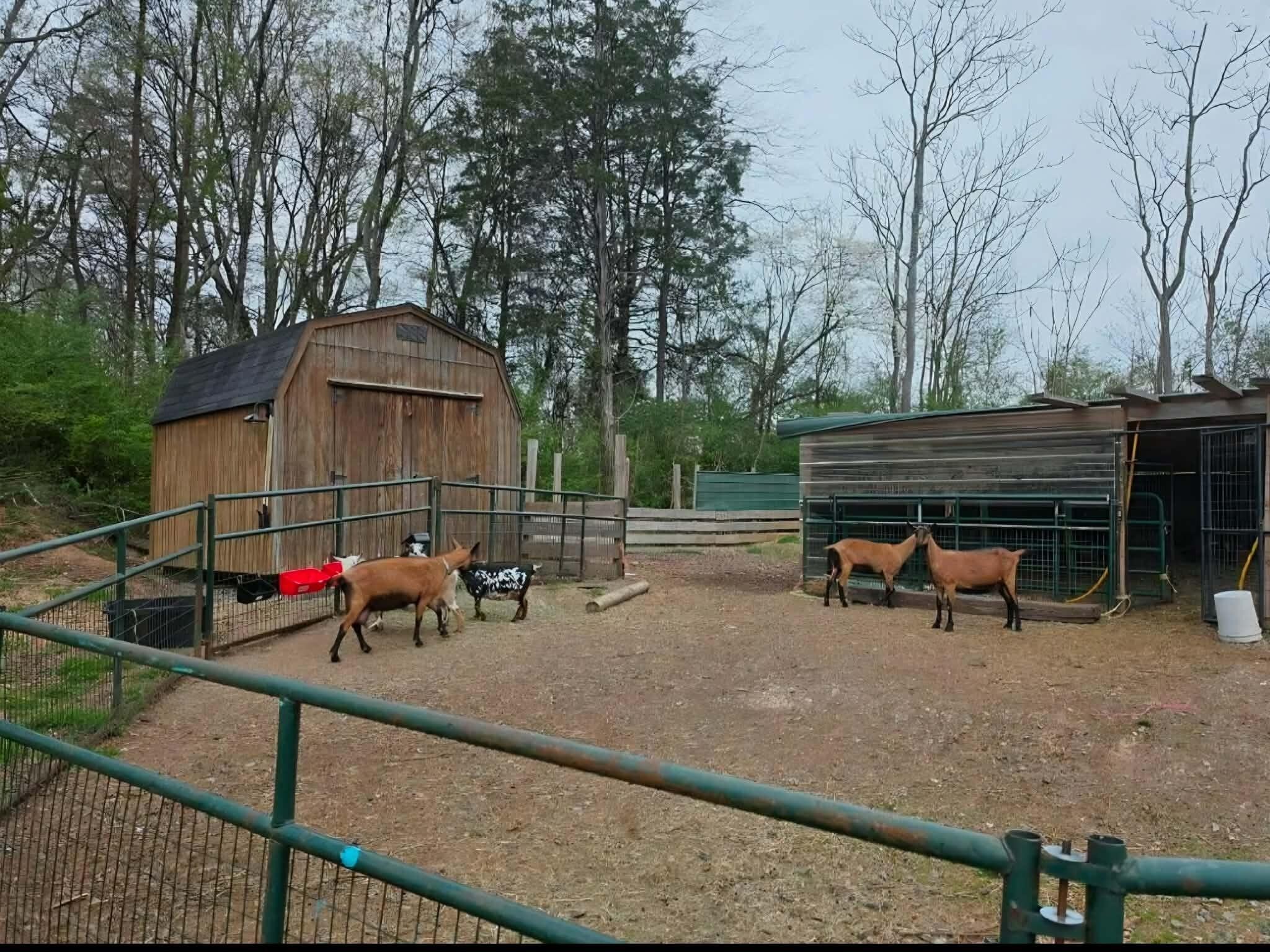 196 Southside Road Sweetwater, TN 37874 - Photo 42 of 49