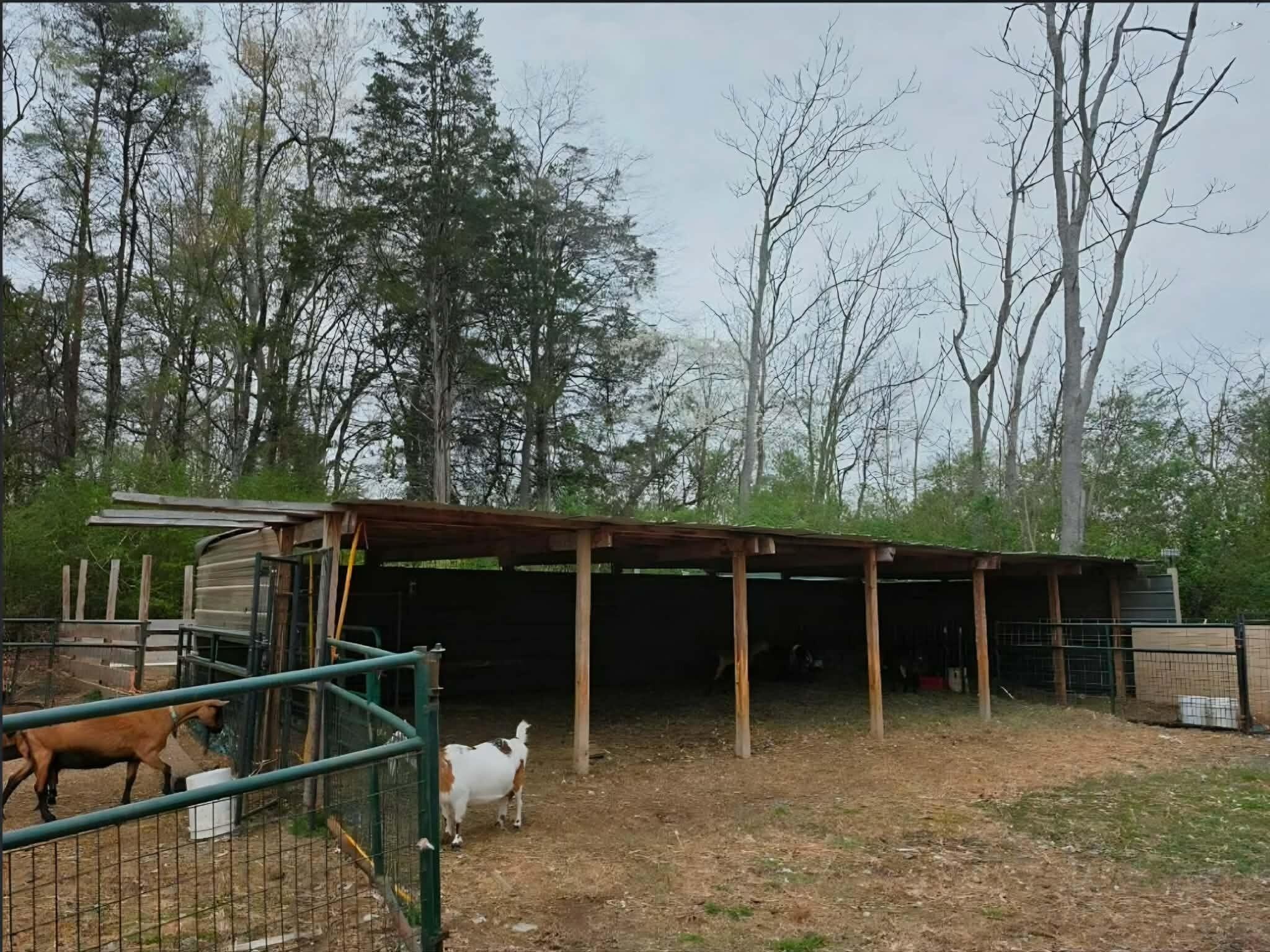 196 Southside Road Sweetwater, TN 37874 - Photo 43 of 49