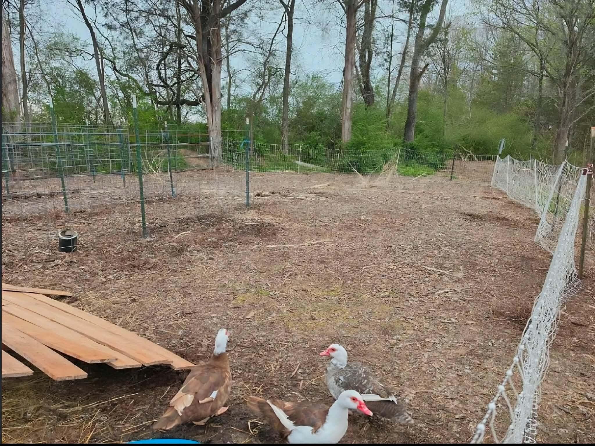 196 Southside Road Sweetwater, TN 37874 - Photo 46 of 49