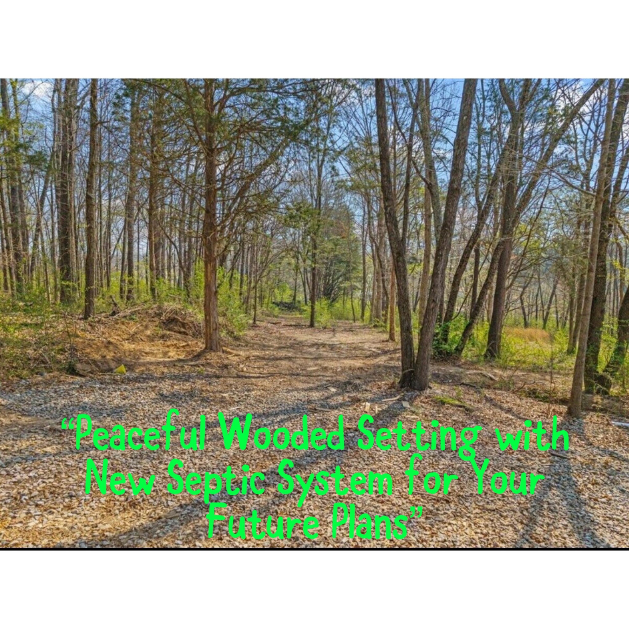 196 Southside Road Sweetwater, TN 37874 - Photo 5 of 49