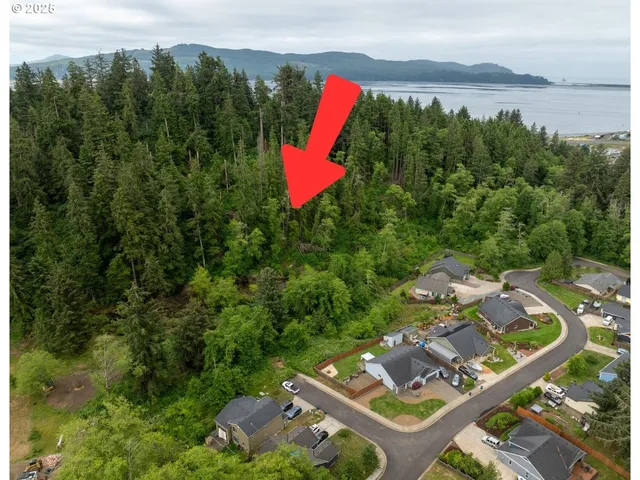 an aerial view of a house with a yard and lake view