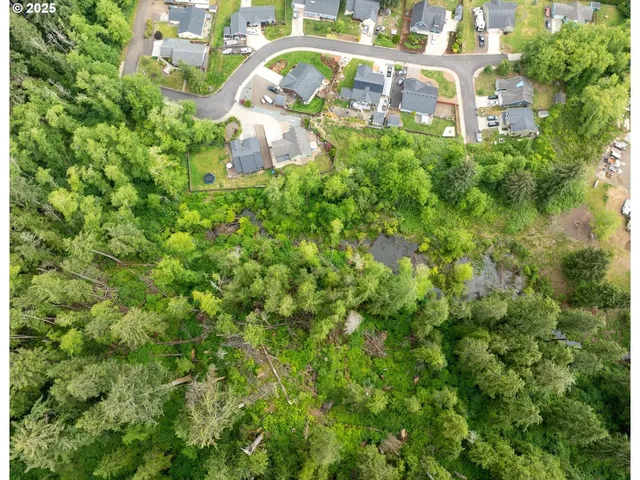 a aerial view of a house with a yard and large trees