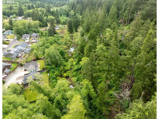 a view of a garden with plants