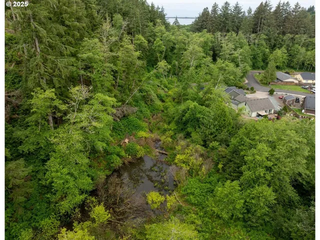 a view of a forest with a street